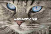 从化SEO优化方案：哪家服务商更适合您的网站？（对比与推荐）